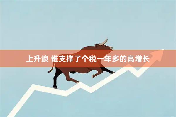 上升浪 谁支撑了个税一年多的高增长