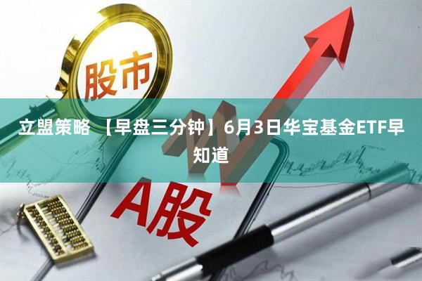 立盟策略 【早盘三分钟】6月3日华宝基金ETF早知道